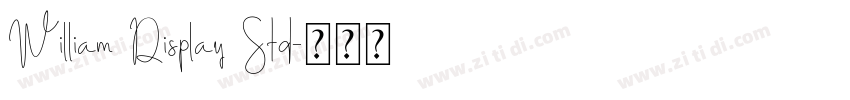 William Display Std字体转换